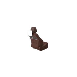 Rear Seat DVD Player